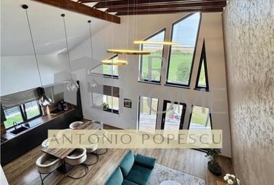 Casa 3 camere deosebita, in Paulestii Noi - 1