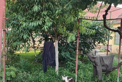 Casa de vinzare in Recas,jud Timis - 5