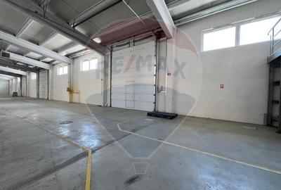Hala renovata recent, modernizata, usi automate, pozitionare eficienta - 4