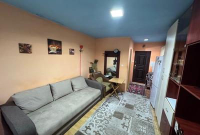 Garsonieră, mobilată în Păcurari