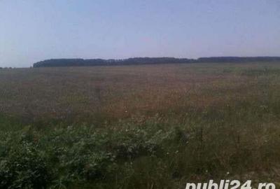 Teren de 12200 mp, în Mihăilești