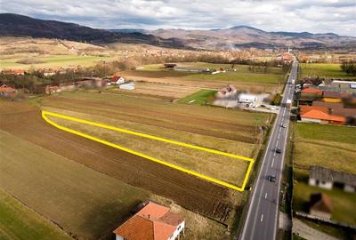 Teren Construcții intravilan de 2900 mp, în Borod - 6