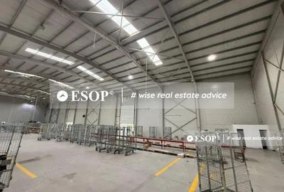 Spațiu comercial, de 2,450 mp, în Mogoșoaia - 2