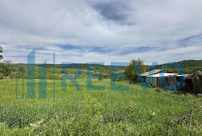 Teren de vanzare, Sat Valea Mare, Com. Ro?iori, Bacau - 3