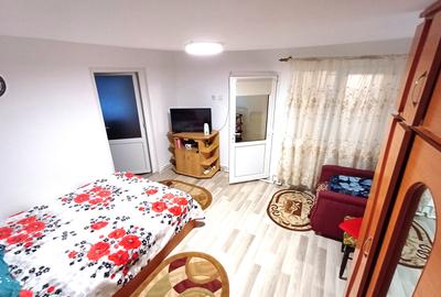 Casă cu 4 camere în Radu Negru