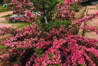 Teren intravilan 5660 mp - 9