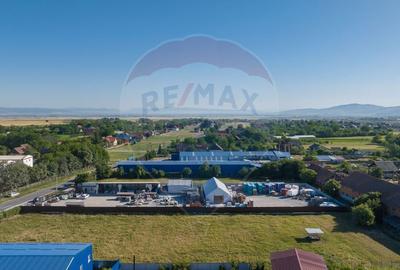 Teren Industrial, 3300 mp,  / DJ 112D, Carpinis - 7