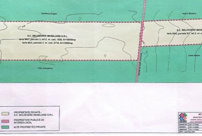 Teren Construcții intravilan de 45602 mp, în Frumușani - 6