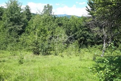 Teren cu livada de vanzare in Albesti de Muscel - 7