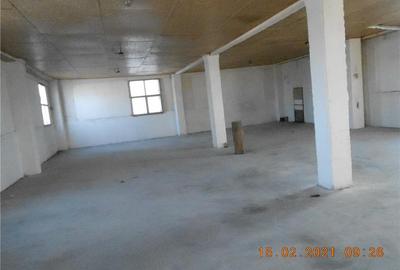 Spațiu comercial, de 800 mp, în Ineu - 7