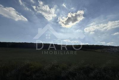 Teren intravilan budiu mic 9700 m2, perfect pentru complex reziden?ial - 1