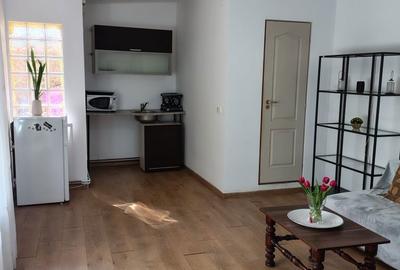 Casă cu 2 camere în Central - 1