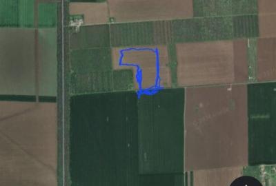 Tuzla/ Costinesti / Livada - 1