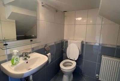 Casa + anexa de vanzare in Șura Mica - 116 mp, regim hotelier activ pe Booking Casa + anexa de vanzare in Șura Mica - 116 mp, regim hotelier activ pe Booking - 16