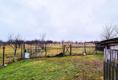 Casă cu 5 camere cu Teren 3382 Mp în Găujani - 2