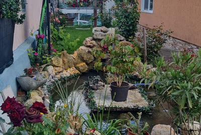 Casă cu 4 camere în Ciocârlia - 6