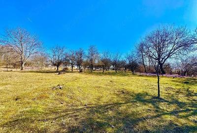 Casă cu Teren 2500 Mp în Central - 6