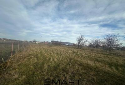 Teren Intravilan 865 mp Sanpetru - 1