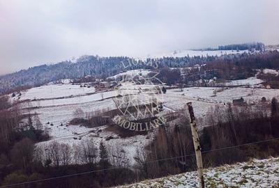 Spațiu comercial, în Vișagu - 7