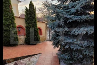 Casa Evreiasca Ta?nad, Zona Centrala - 3