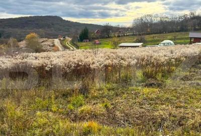 Teren de 2400 mp, în Central - 3