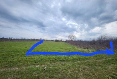 Spațiu comercial, în Brăniștari - 4