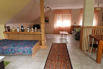 Casă cu 5 camere cu Teren 400 Mp în Băile 1 Mai - 17