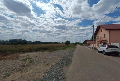 Descoperă o oportunitate rară: Teren intravilan- 2.000 mp în Zădăreni - 3