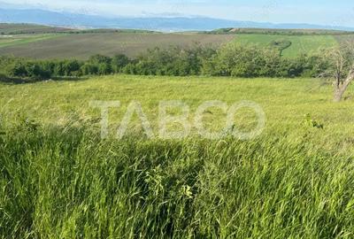 Teren de 8900 mp, în Șura Mare - 6