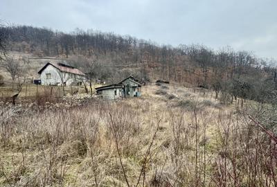Teren intravilan, loc de casa, panorama - 1