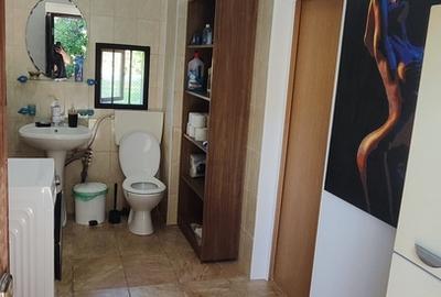 Afumati Afumati - 15