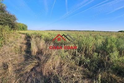 Casă cu Teren 5000 Mp în Urleta