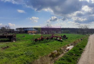 Teren Construcții intravilan de 3400 mp, în Buturugeni - 1