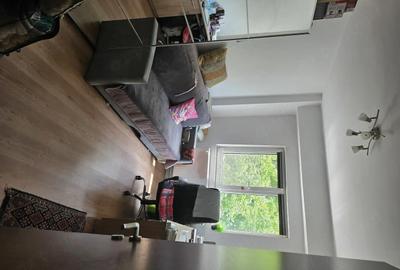 Apartament cu 3 camere decomandat în Lacul Tei - 5