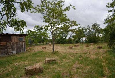 Casă cu 5 camere în Surdila-Greci - 3