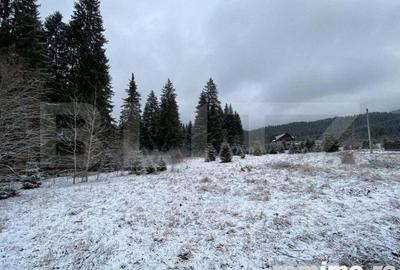 Casă cu 13 camere cu Teren 1487 Mp în Timișu de Sus - 3