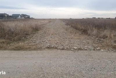 Teren de 300 mp, în Berceni - 5