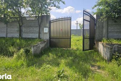 Teren de 300 mp, în Dobroești - 5