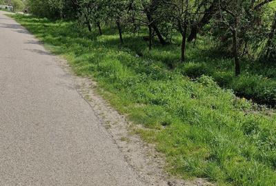 Teren de 1950 mp, în Dioșod - 8