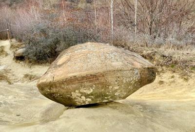 Terenuri extravilane Cozieni, jud. Buzau 70000mp - 5