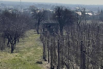 Spațiu comercial, în Blejoi - 1