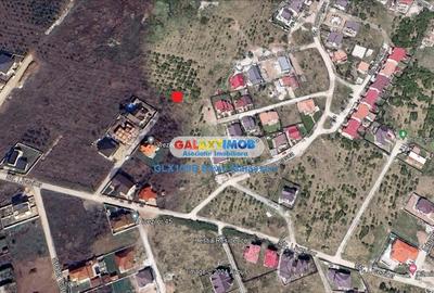 Teren Construcții intravilan de 8011 mp, în Mogoșoaia - 4