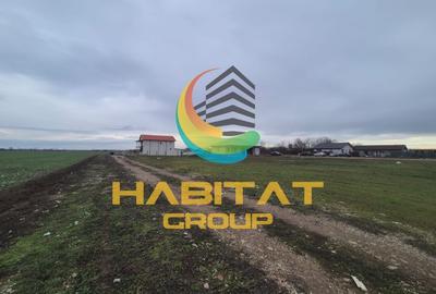 Teren intravilat 500 mp Afumati Sindrilita - 6