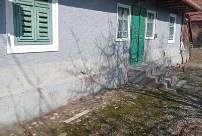 Casă cu Teren 1000 Mp în Central - 3