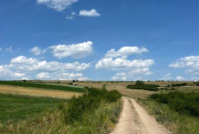 Teren de 9700 mp, în Borșa - 2