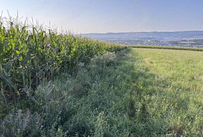 Spațiu comercial, în Central - 1