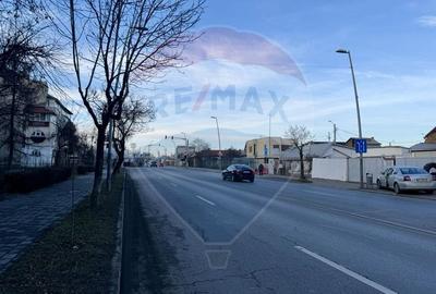 Apartament cu 3 camere decomandat, mobilat în Bistrița Lac - 17