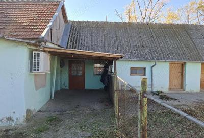 Casă cu 3 camere cu Teren 1094 Mp în Central - 6