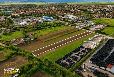 Teren Construcții intravilan de 5000 mp, în Nord-Est - 4
