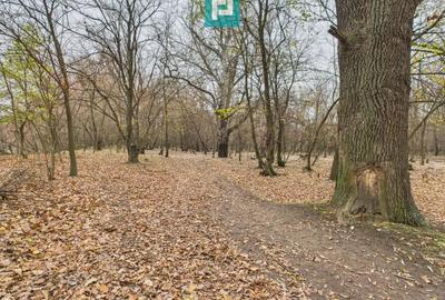Teren agricol extravilan de 5000 mp, în Periam - 5